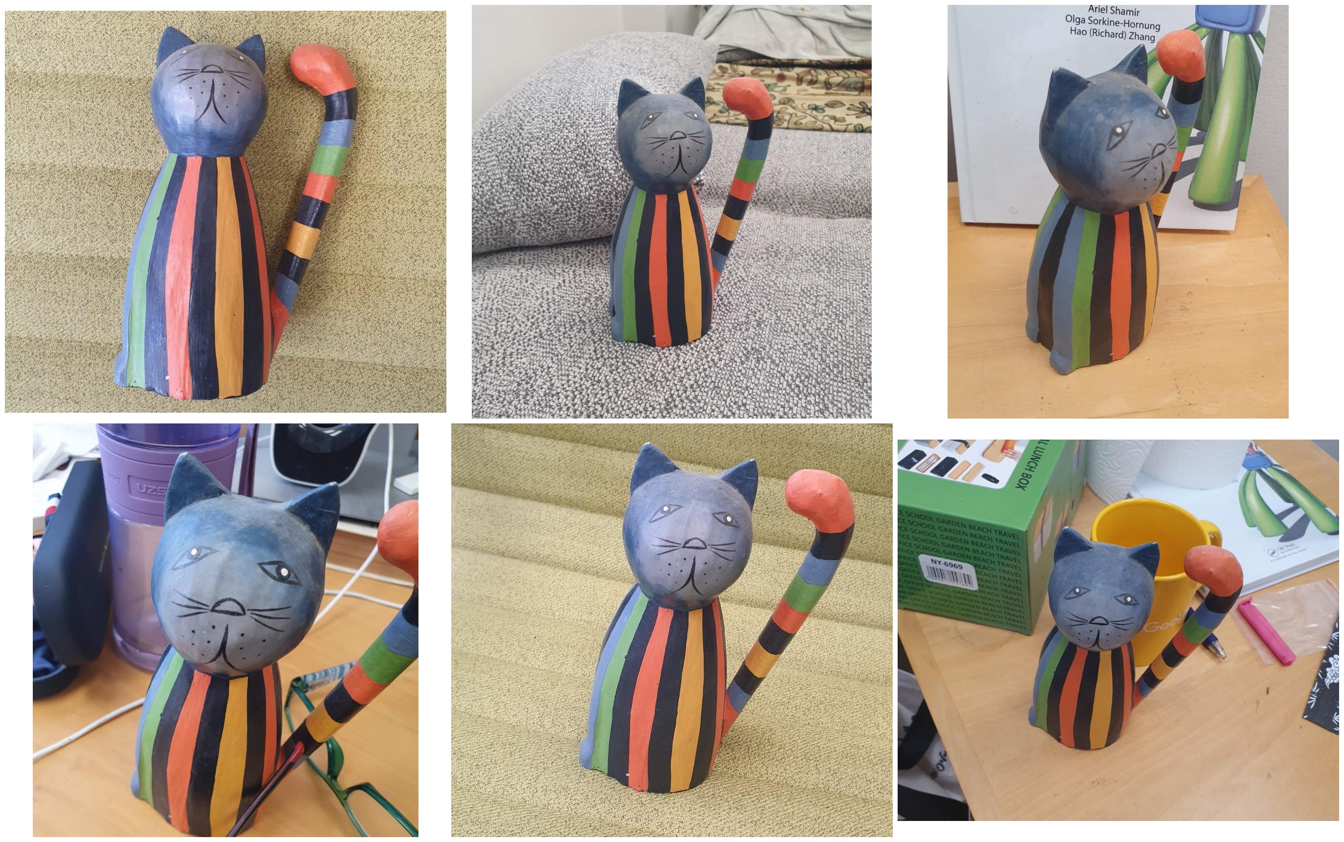 Cat toy dataset