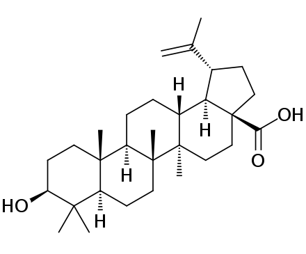 Betulinic acid molecule diagram