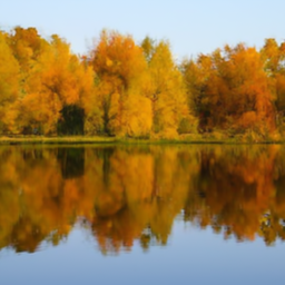 A lake surrounded by trees in autumn