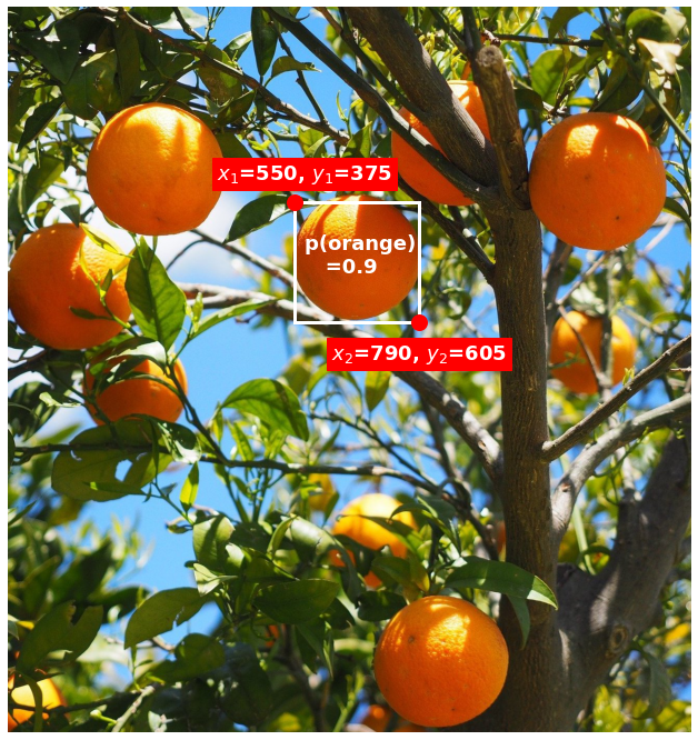 An orange tree with oranges bounding box around a single orange with a score label inside showing a score of 0.9 and top-left and bottom-right corners labelled with coordinates (x1, y1) = (550, 375) and (x2, y2) = (790, 605)