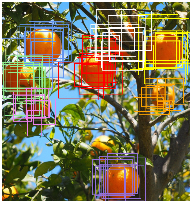 An orange tree with oranges shown with a cluster of spread out but overlapping boxes around each orange