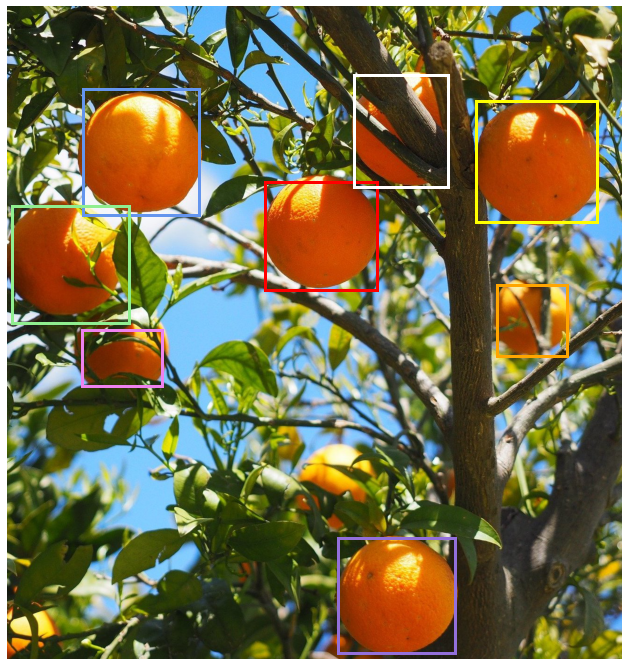 An orange tree with oranges shown with a bounding box around each orange that is a good but not perfect fit